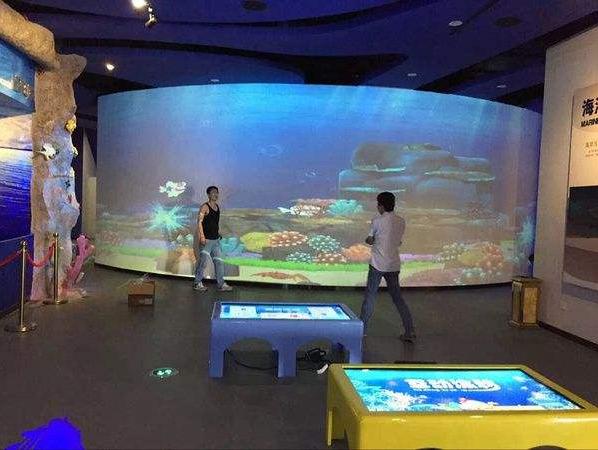 畫(huà)畫(huà)水族館11